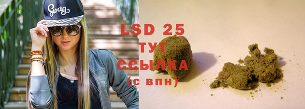 spice Богданович