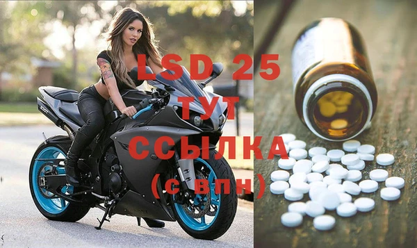 spice Богданович