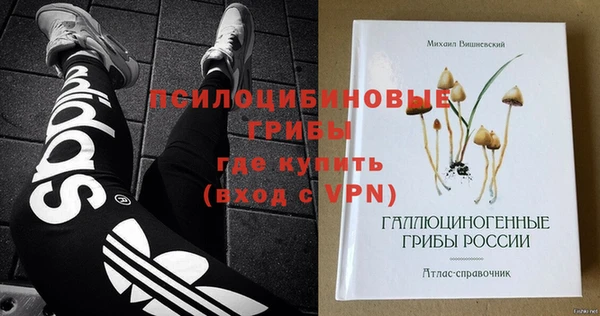 spice Богданович